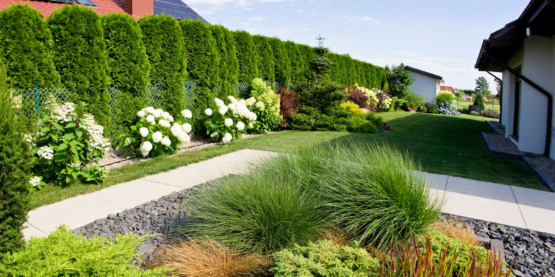 Professional Landscape Gardener